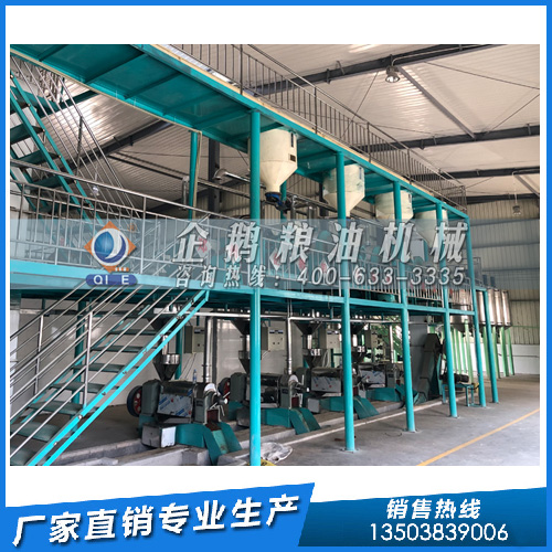 企鵝糧油機械：解析棕櫚油的優勢及加工解決方案